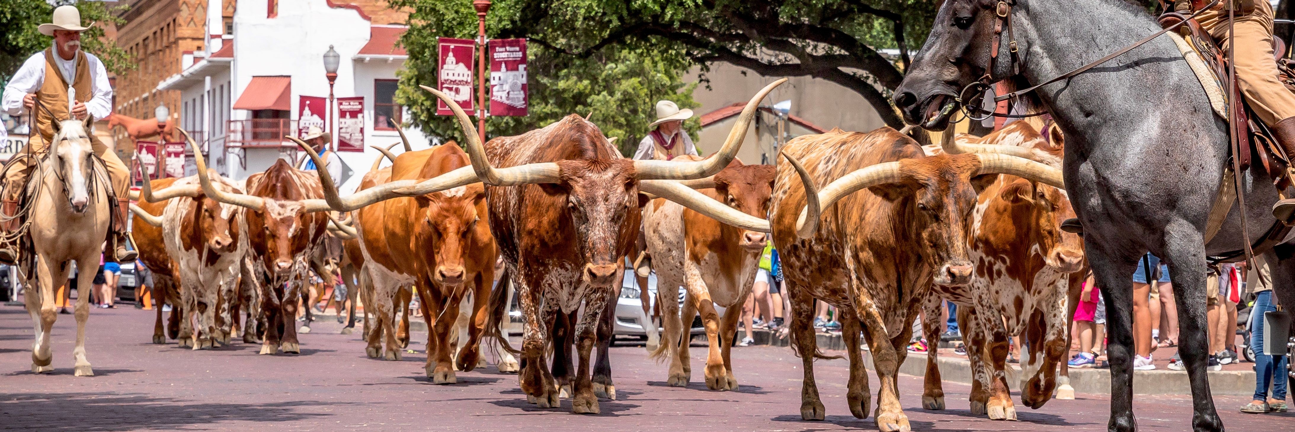 The Heart of Texas - 14 day Self Drive with flights